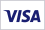 Visa logo icon
